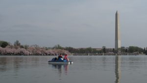 Cool off in Washinton, D.C - BMW of Sterling