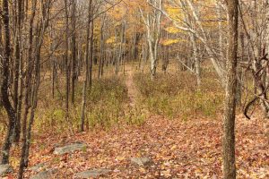 Claude Moore Park near Sterling, VA - BMW of Sterling