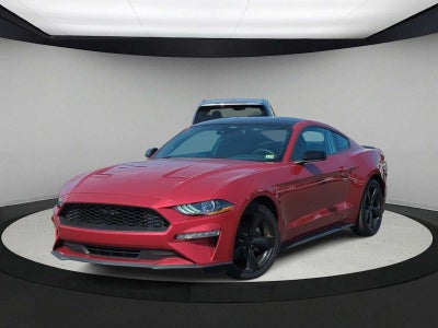 2021 Ford Mustang EcoBoost