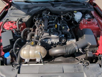 2021 Ford Mustang EcoBoost