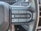 2024 BrightDrop Zevo 600 eAWD 600