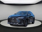 2022 Lexus NX 350 Premium