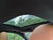 2026 BMW 330i NA xDrive 330i NA xDrive