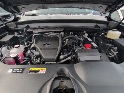 2025 Lexus TX Premium