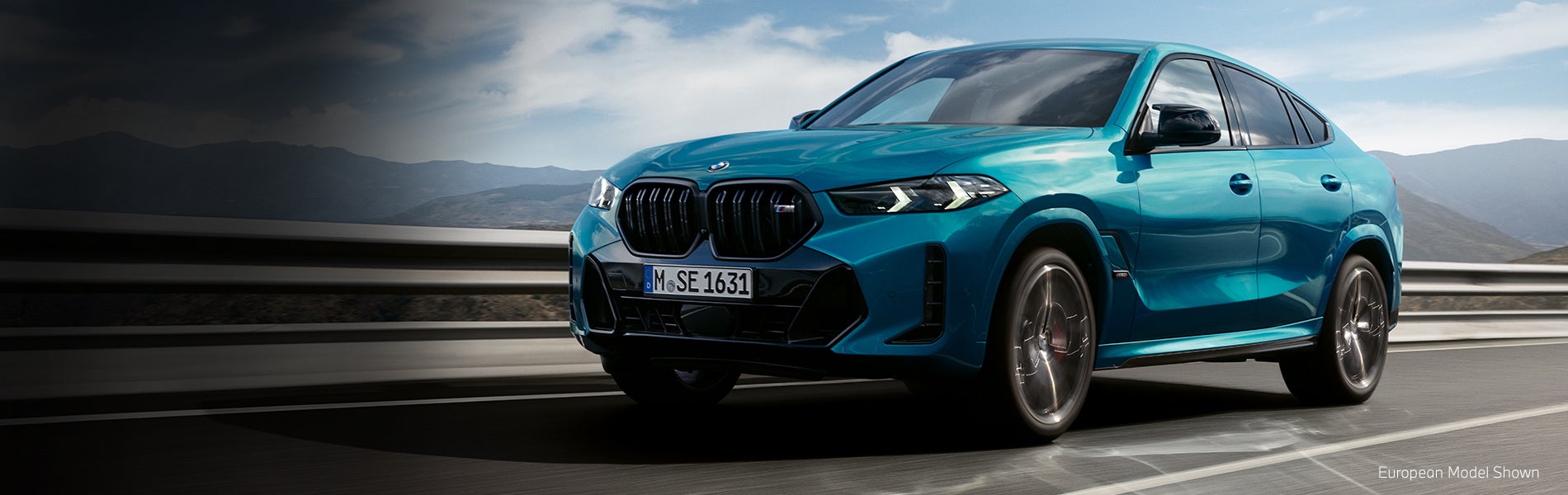 The BMW X6