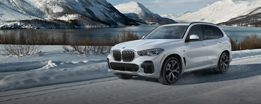 2023 BMW X5