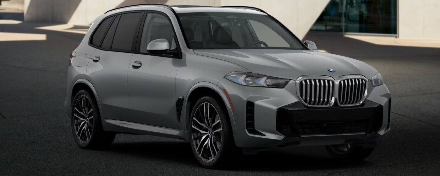 2025 BMW X5